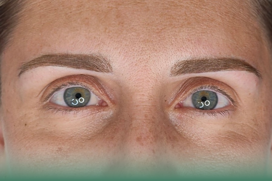 Ombre Brows example 2